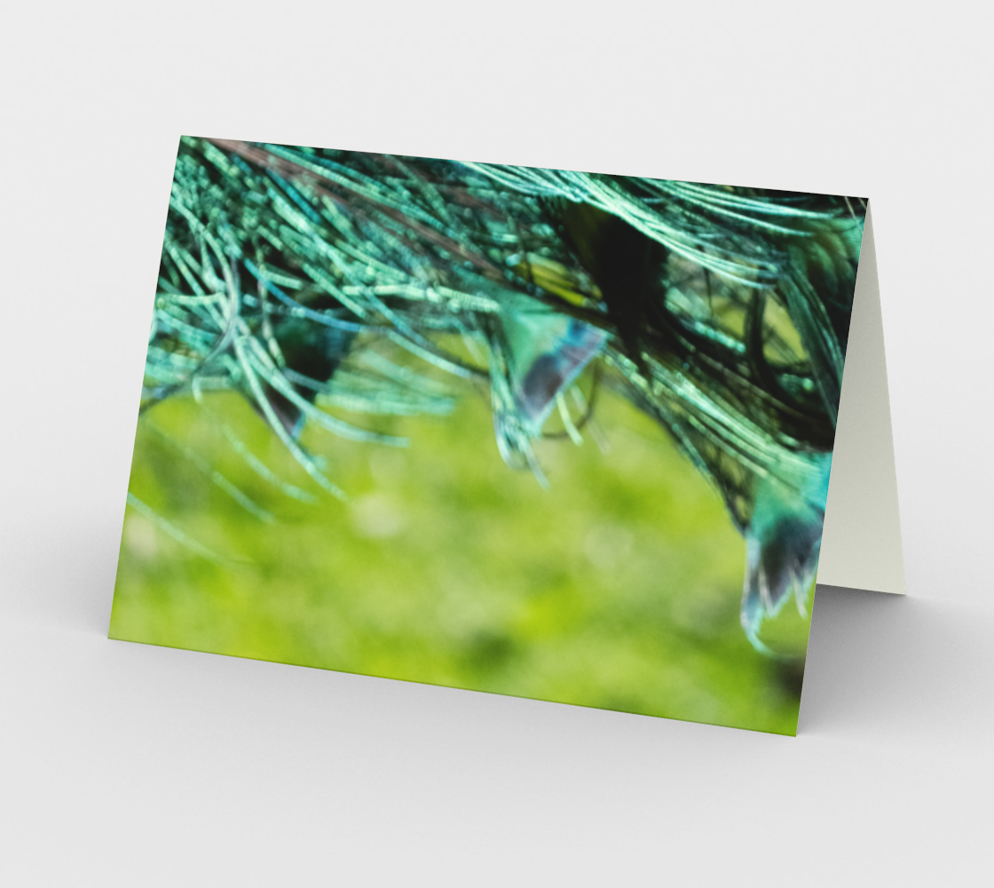 Peacock Feathers Stationery Card thumbnail #3