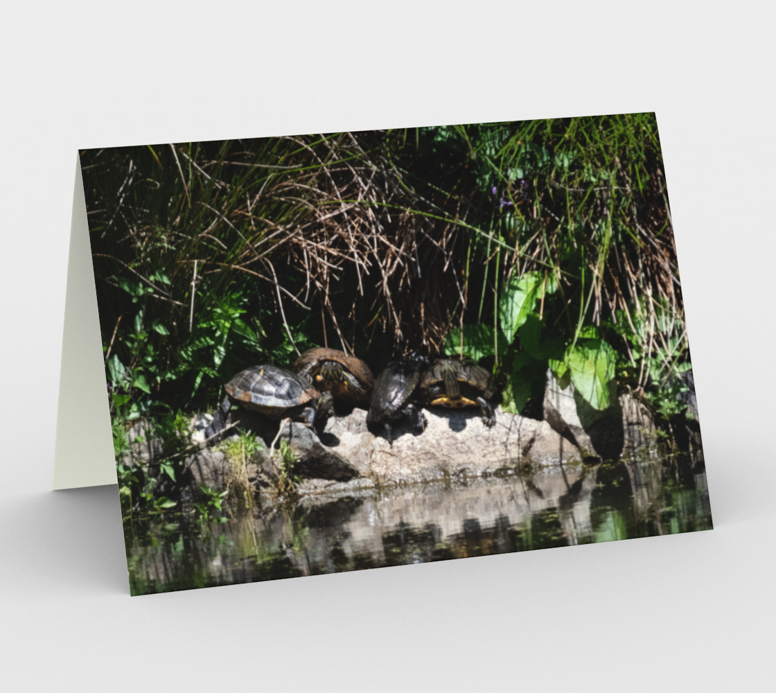 Turtle Pond Stationery Card 3D preview