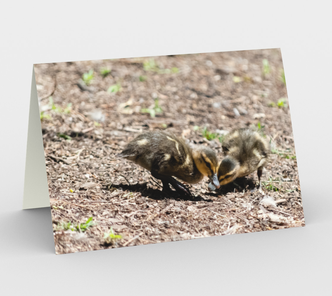 Ducklings Stationery Card preview