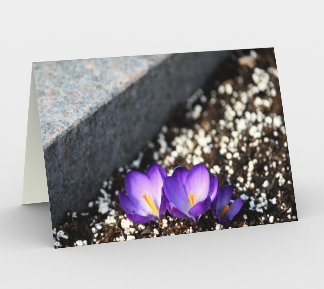 Crocuses in the city preview