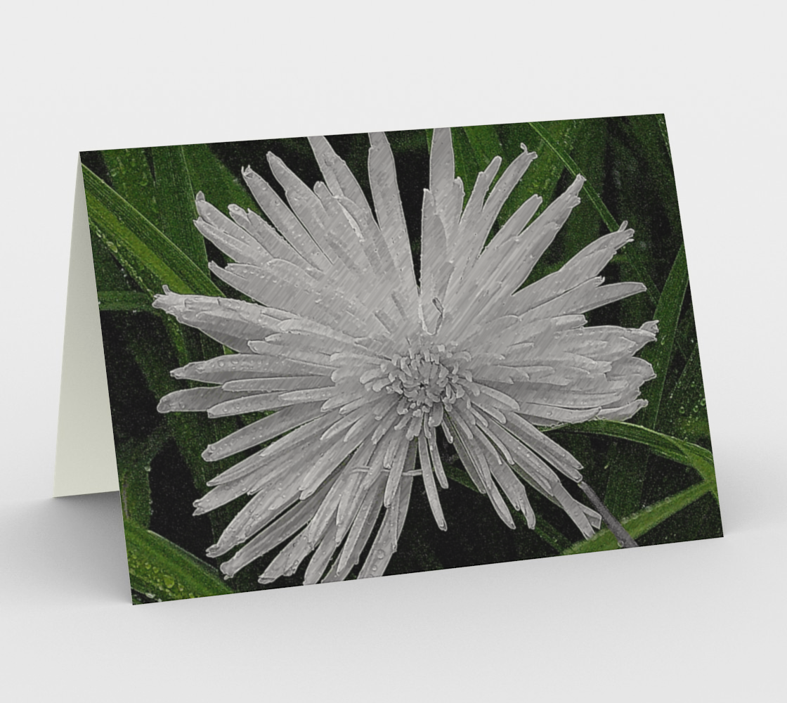 Spider Mum preview