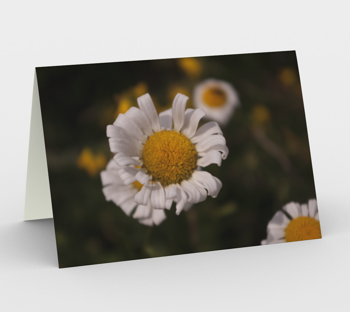 Simply Daisy preview