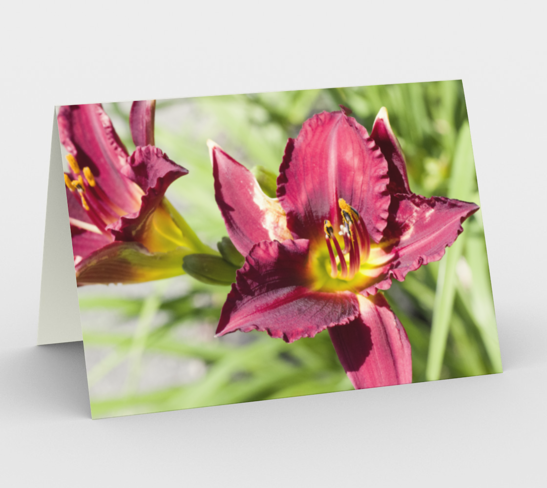 Lilies  preview