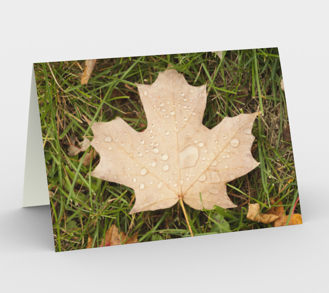 Wet Maple Leaf preview
