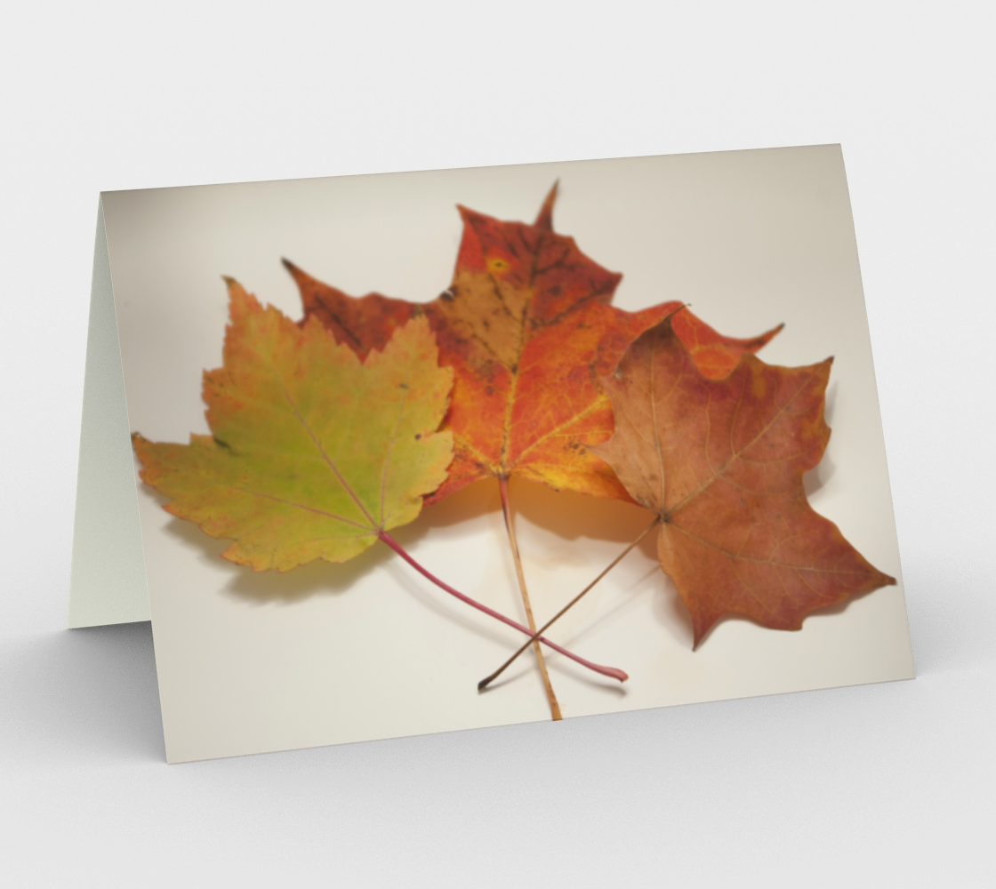 Fall Leaves preview