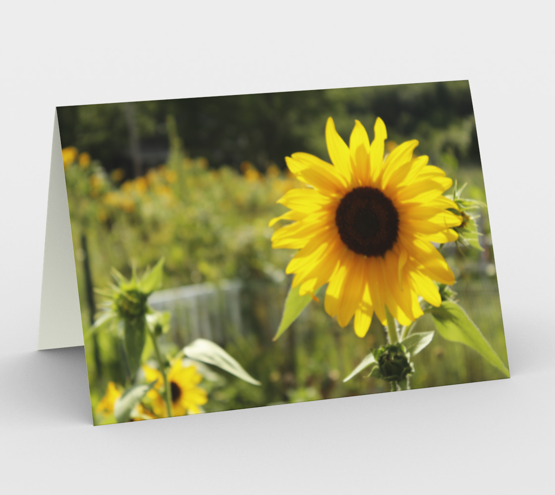 Sunny Sunflower preview
