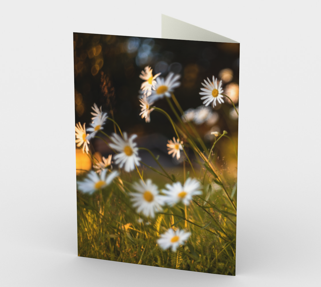 Aperçu de daisies stationary greeting card #2