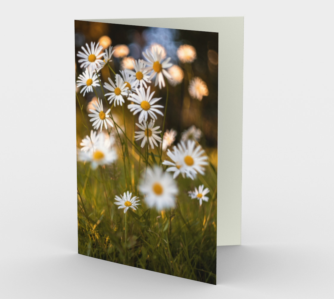Aperçu de daisies stationary greeting card #1