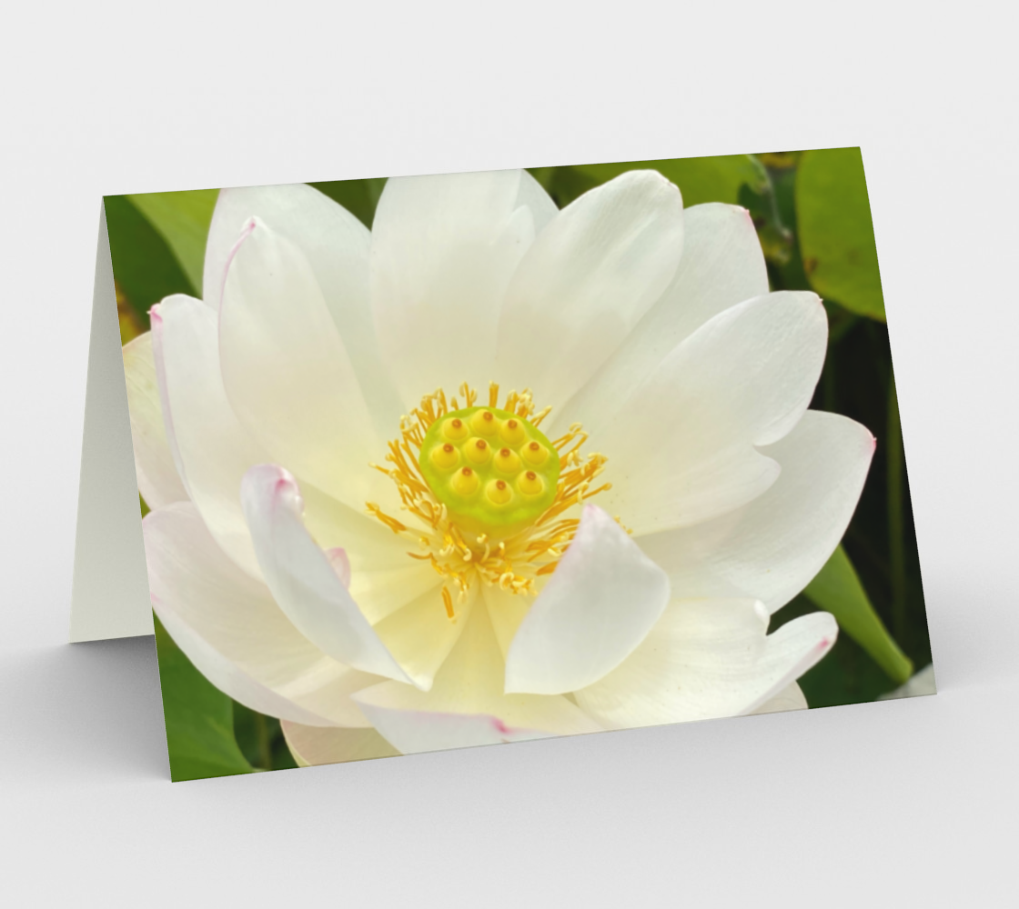 Water Lilly Card preview #1