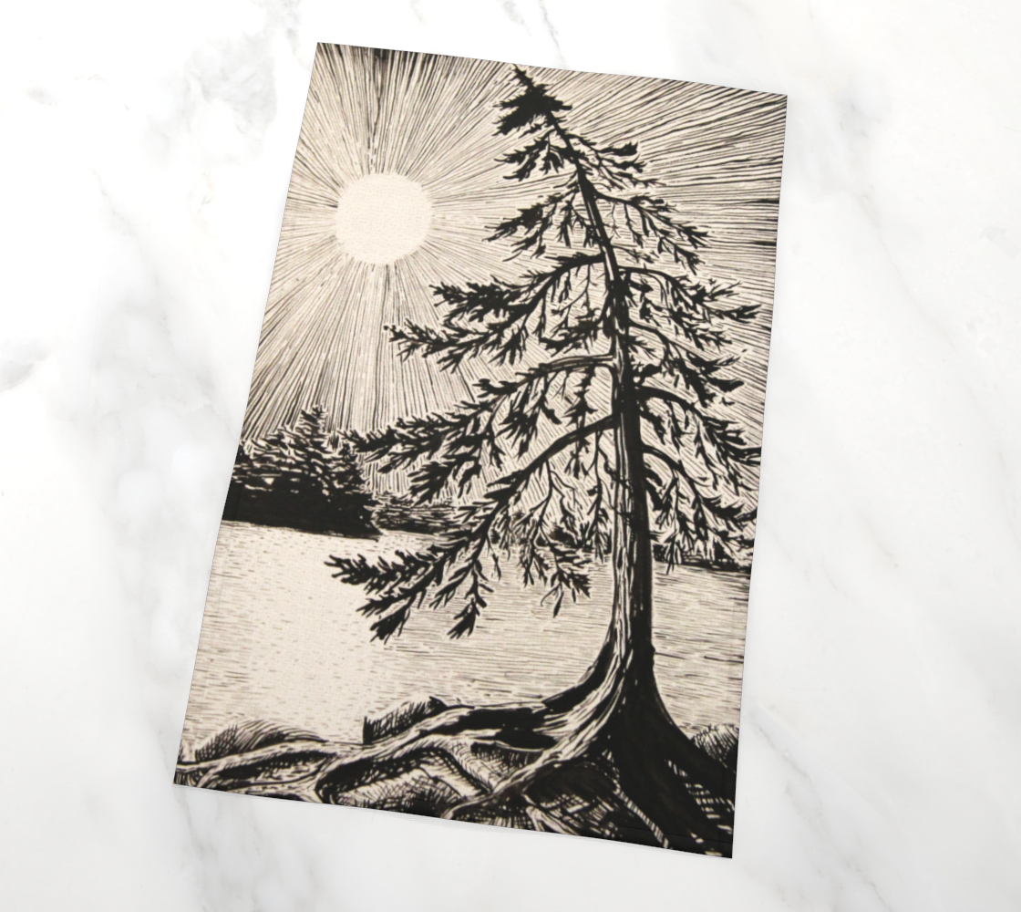 Evening Pine preview #2