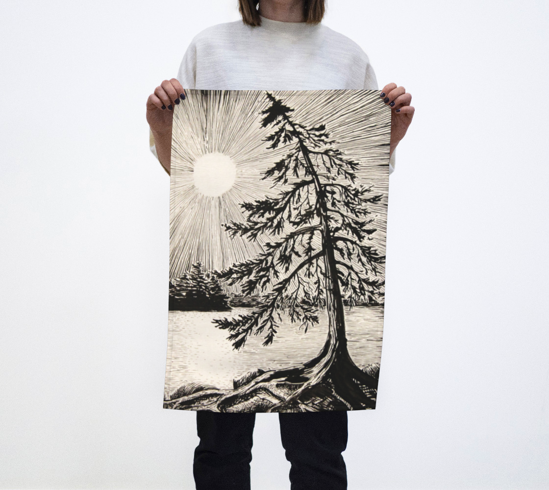 Evening Pine preview #1