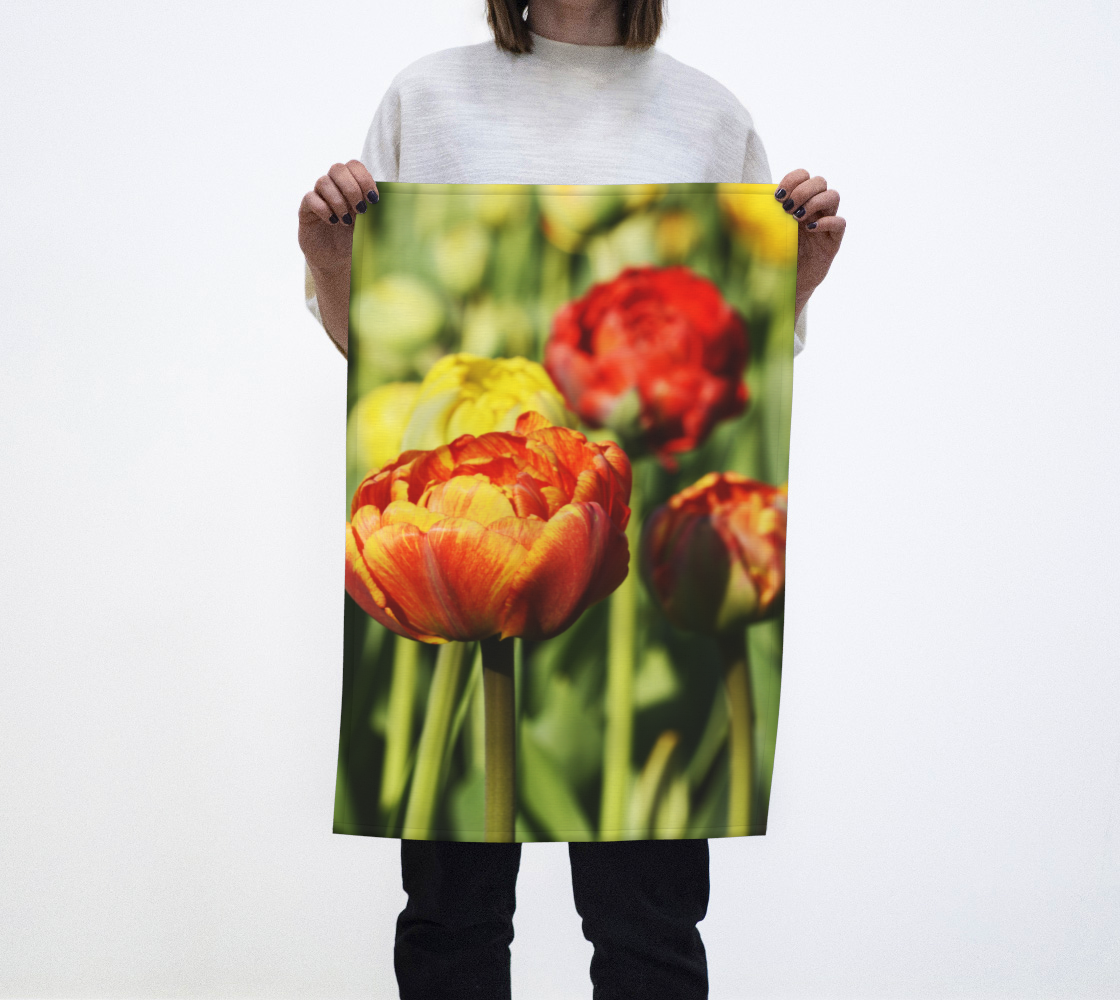 Sunshine Tulips Photography preview #1