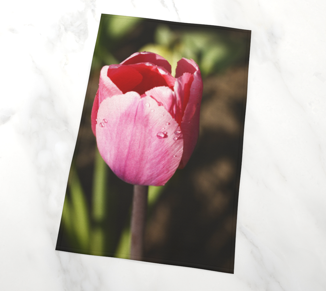 Pink Tulip with Raindrops preview #2