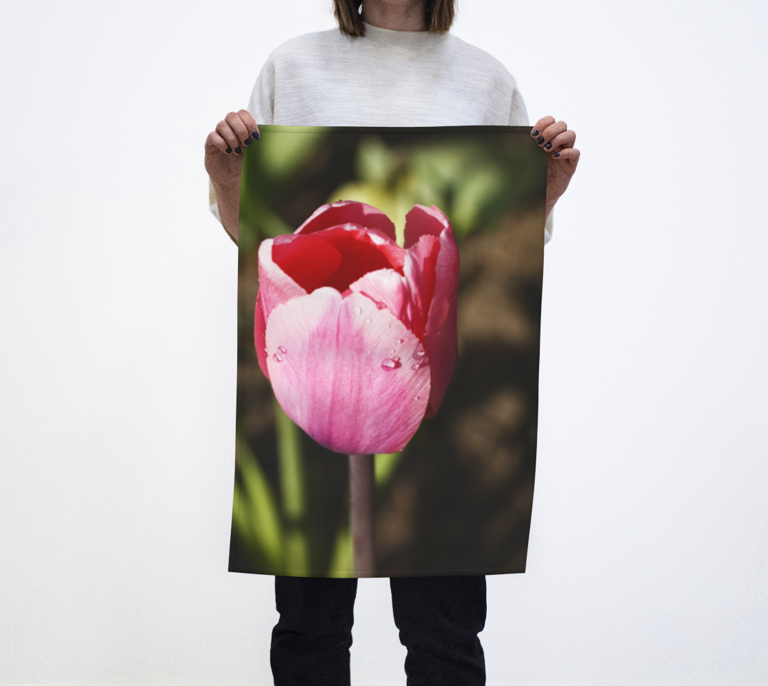 Pink Tulip with Raindrops preview #1