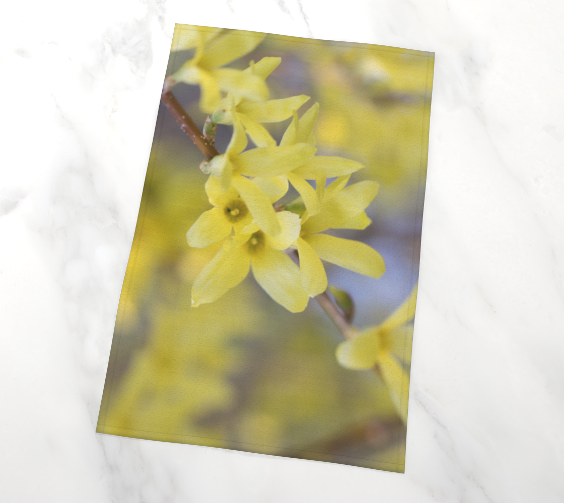 Forsythia preview #2