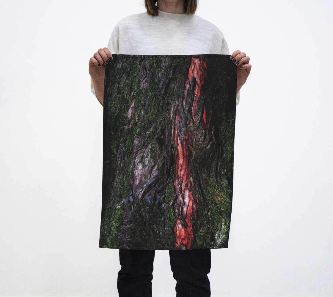 Red black tree mossy wood bark preview