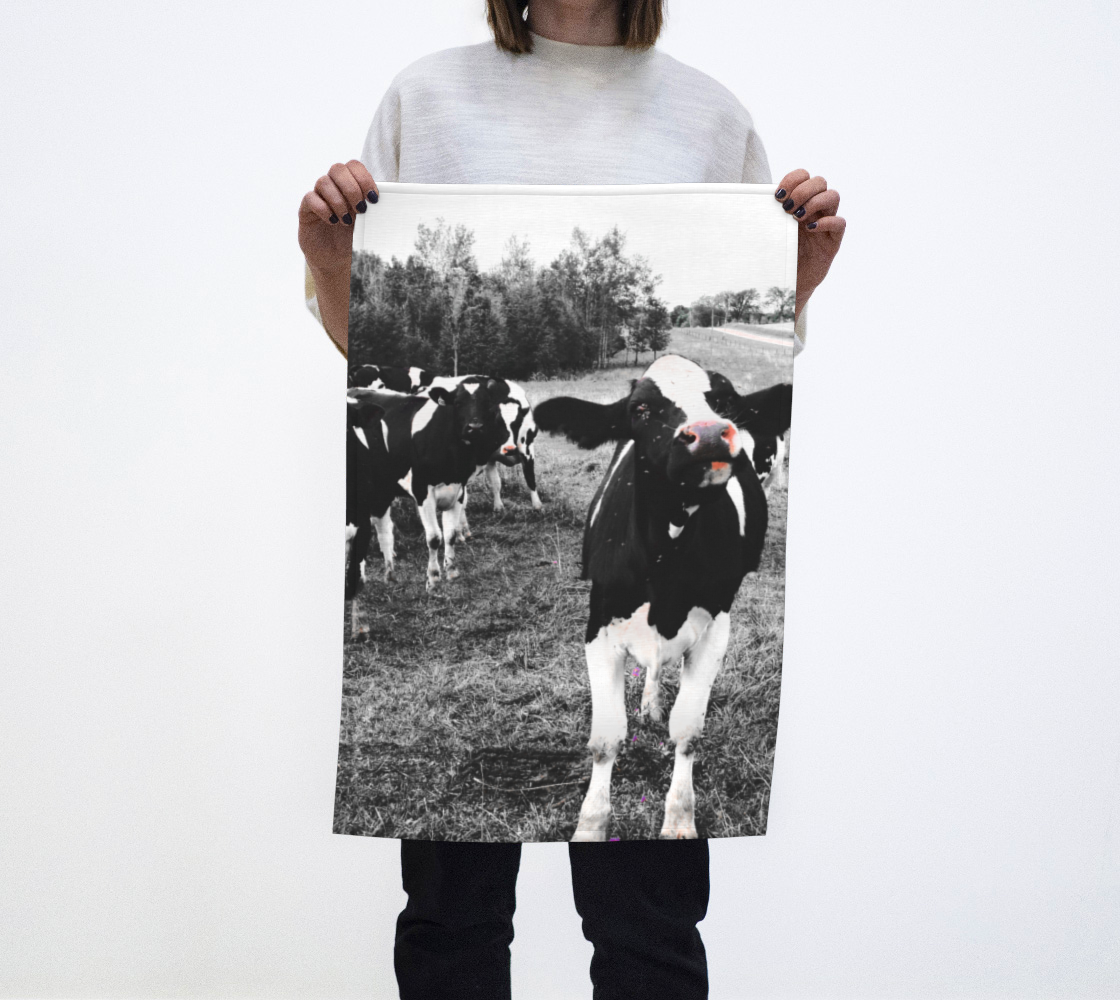 Aperçu de cows #1