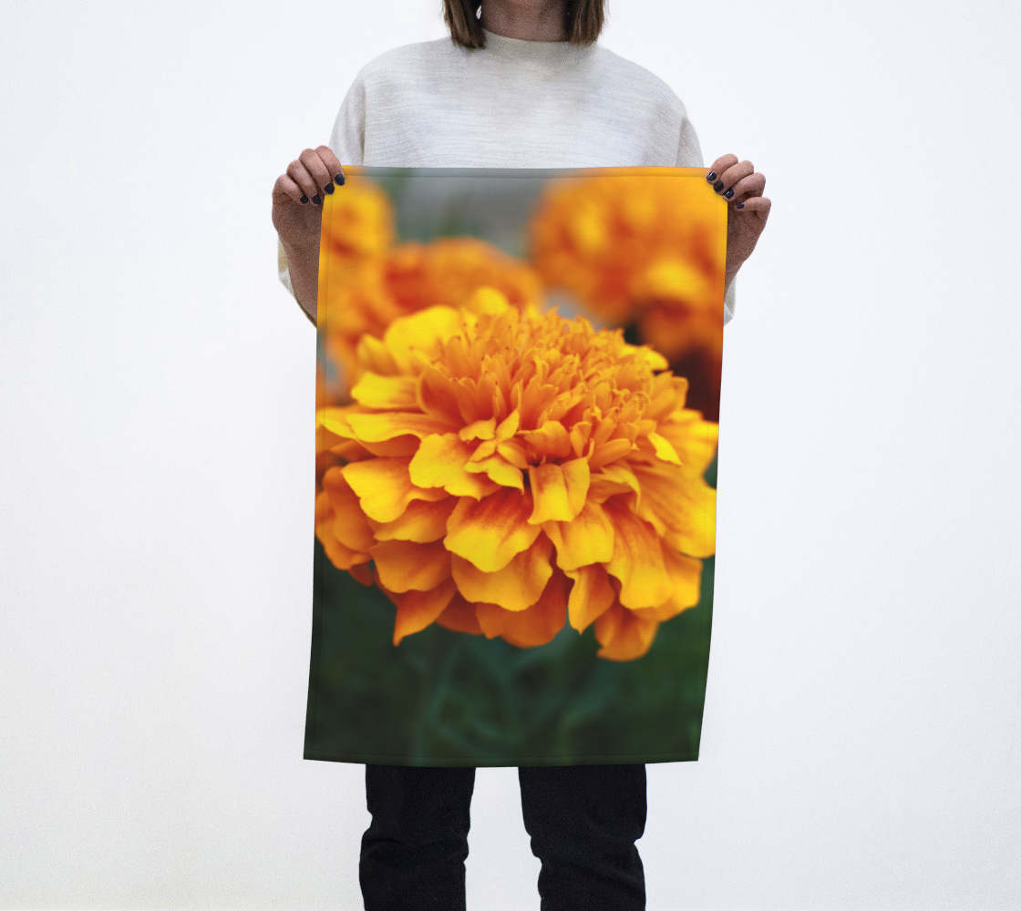 marigolds preview