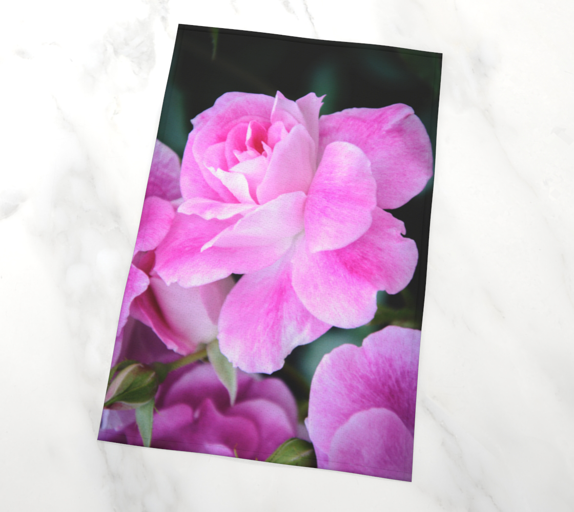 Roses In Bloom preview #2