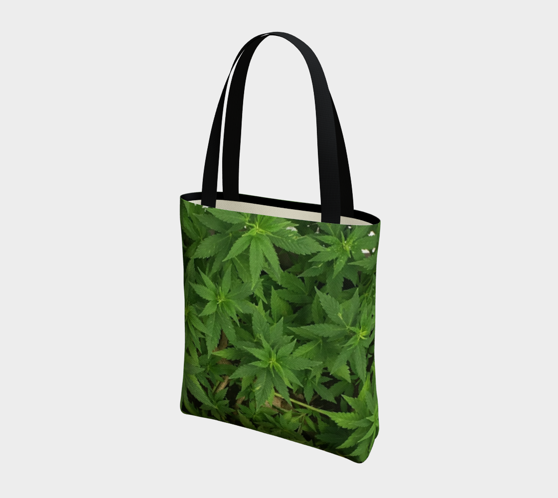Canopy preview #3