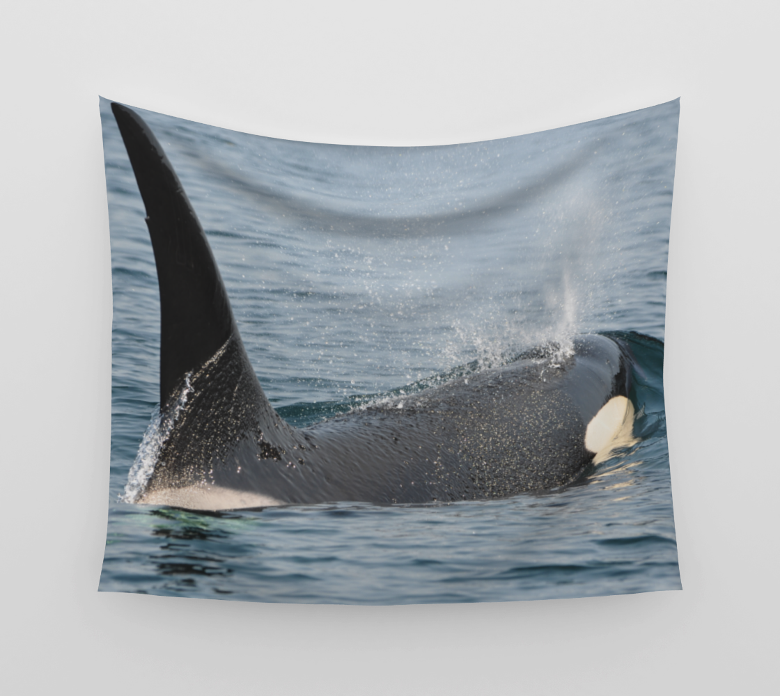 ORCA preview