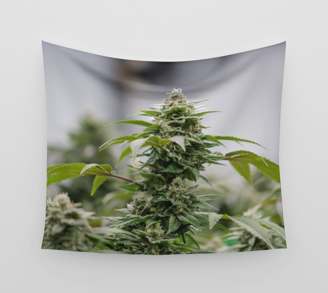 Standard Marijuana Wall Tapestry preview