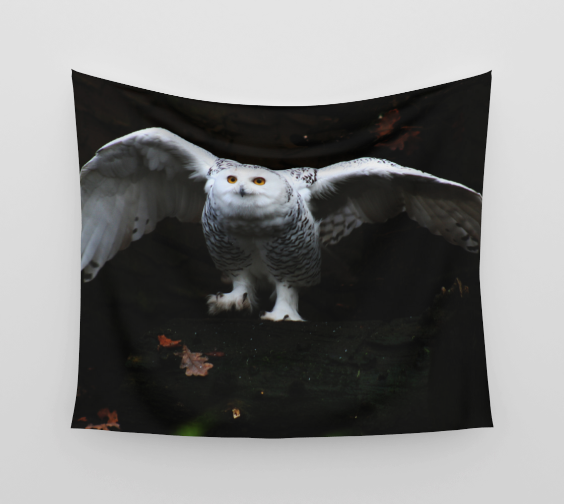 Snowy Owl With Open Wings Wall Tapestry preview