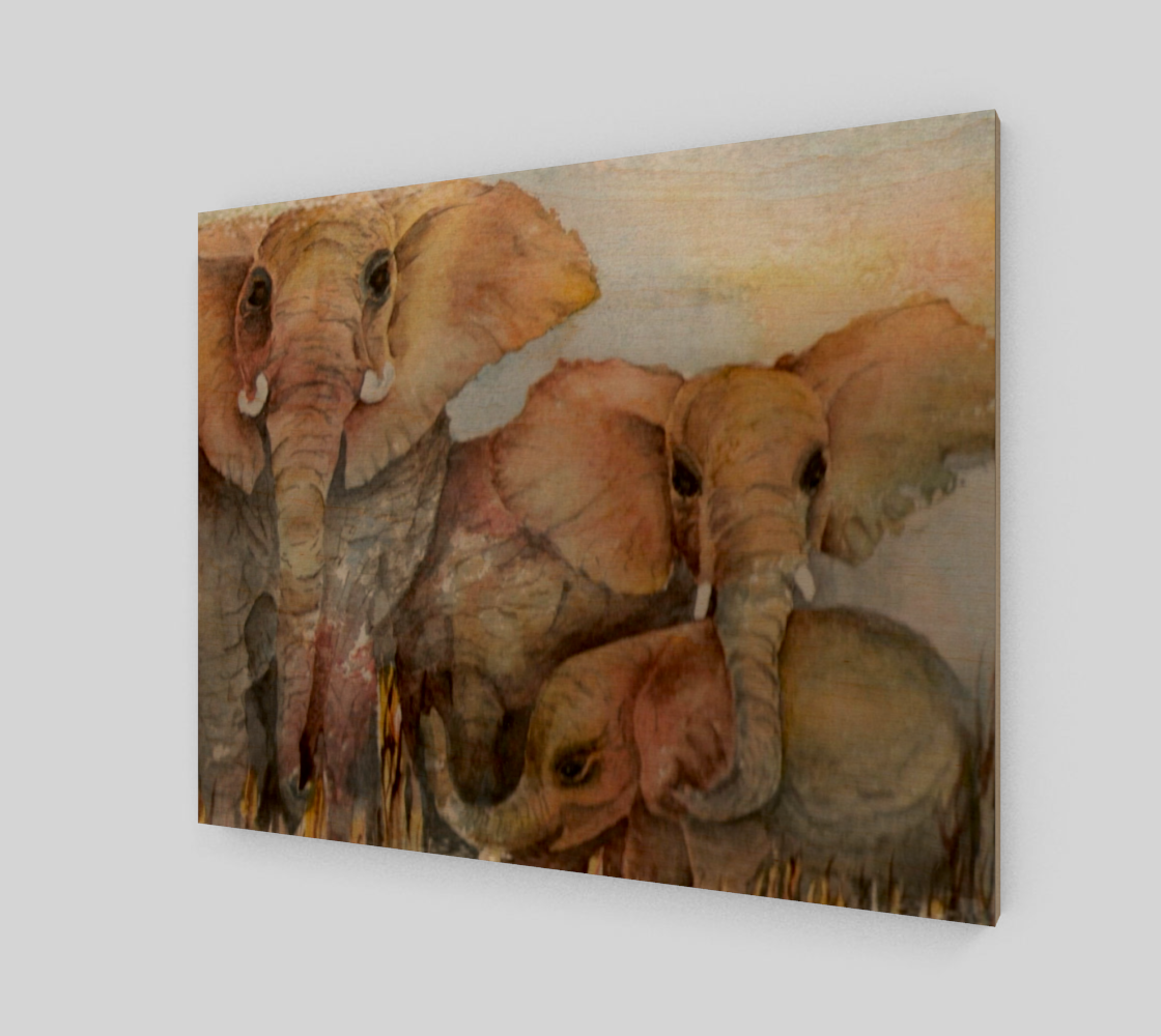 Elephant Family preview #1