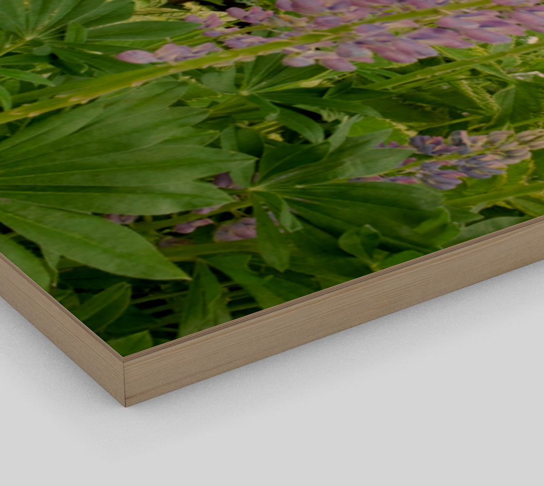 Lupids preview #3