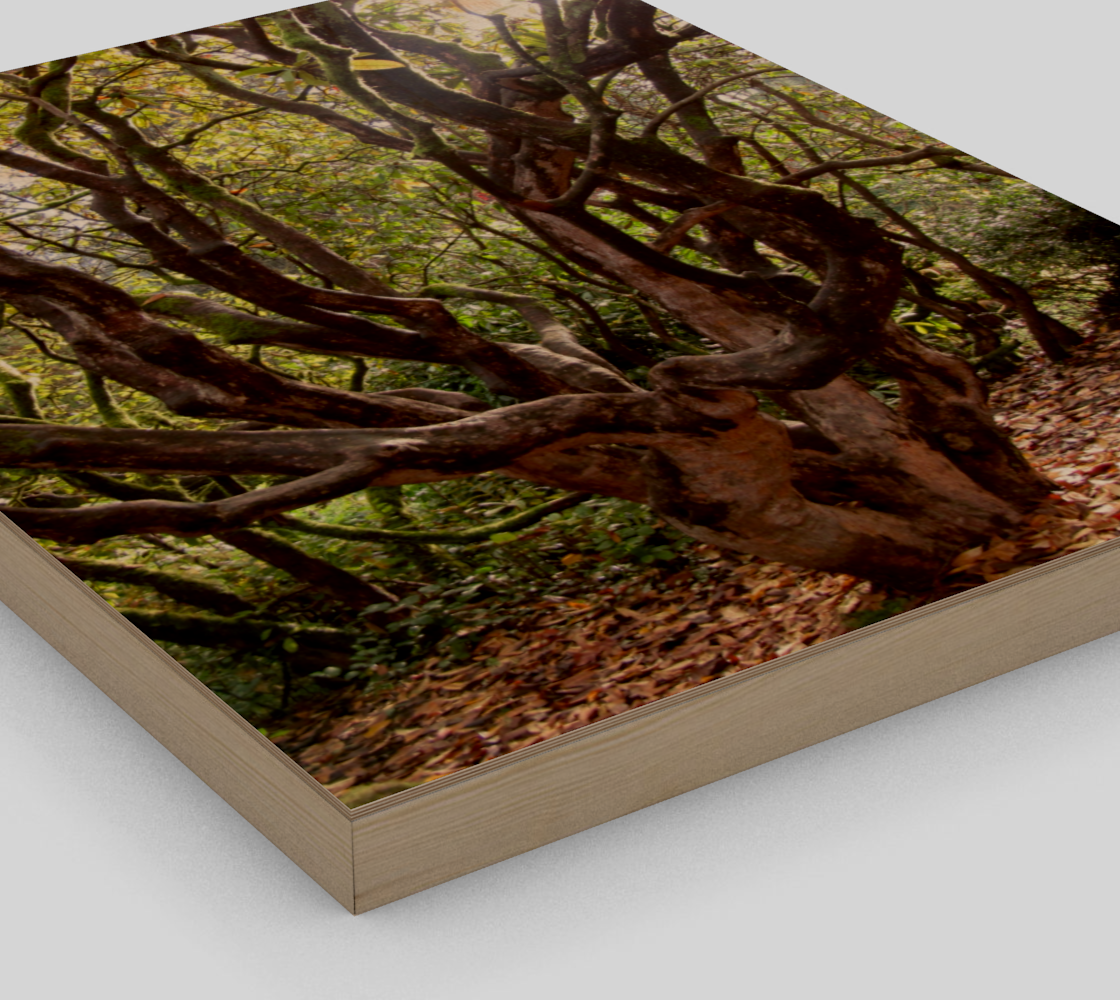 Treez preview #3