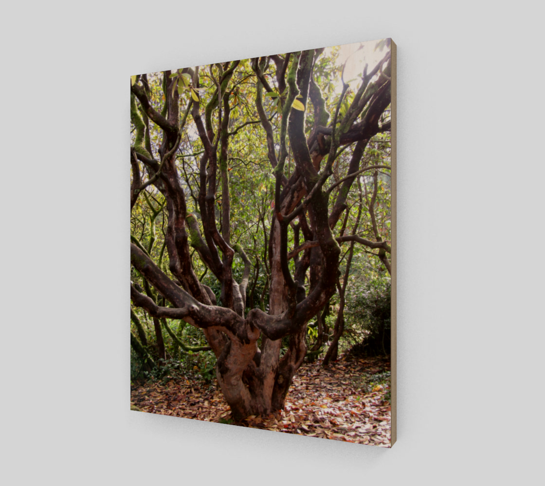 Treez preview #2