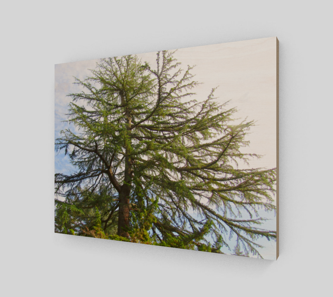 Treez preview #2