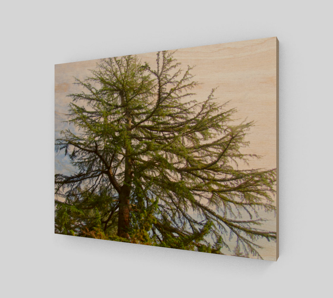 Treez preview #1