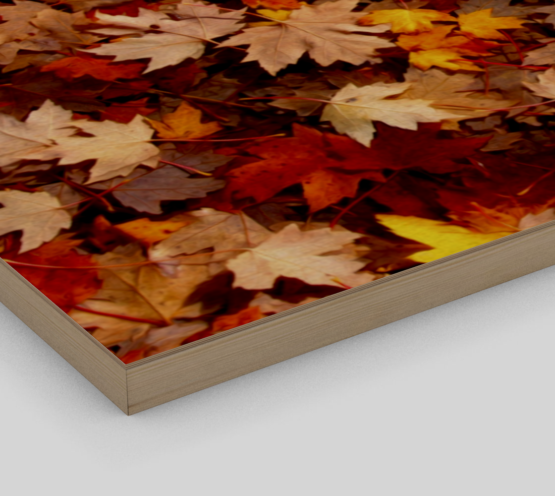 Aperçu de Tapis de feuilles d'érable | Maple Leaf Carpet #3