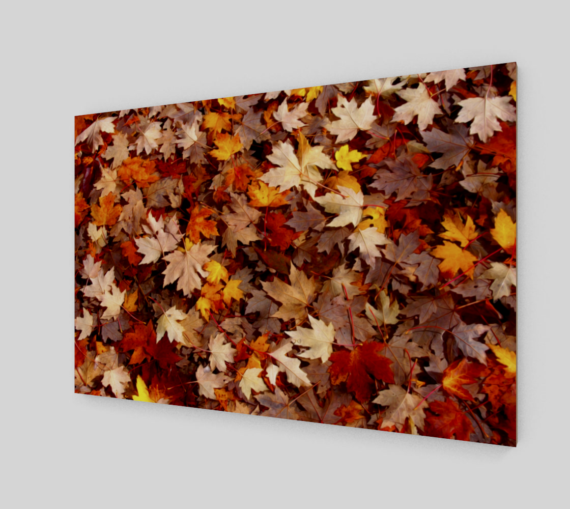 Aperçu de Tapis de feuilles d'érable | Maple Leaf Carpet #2
