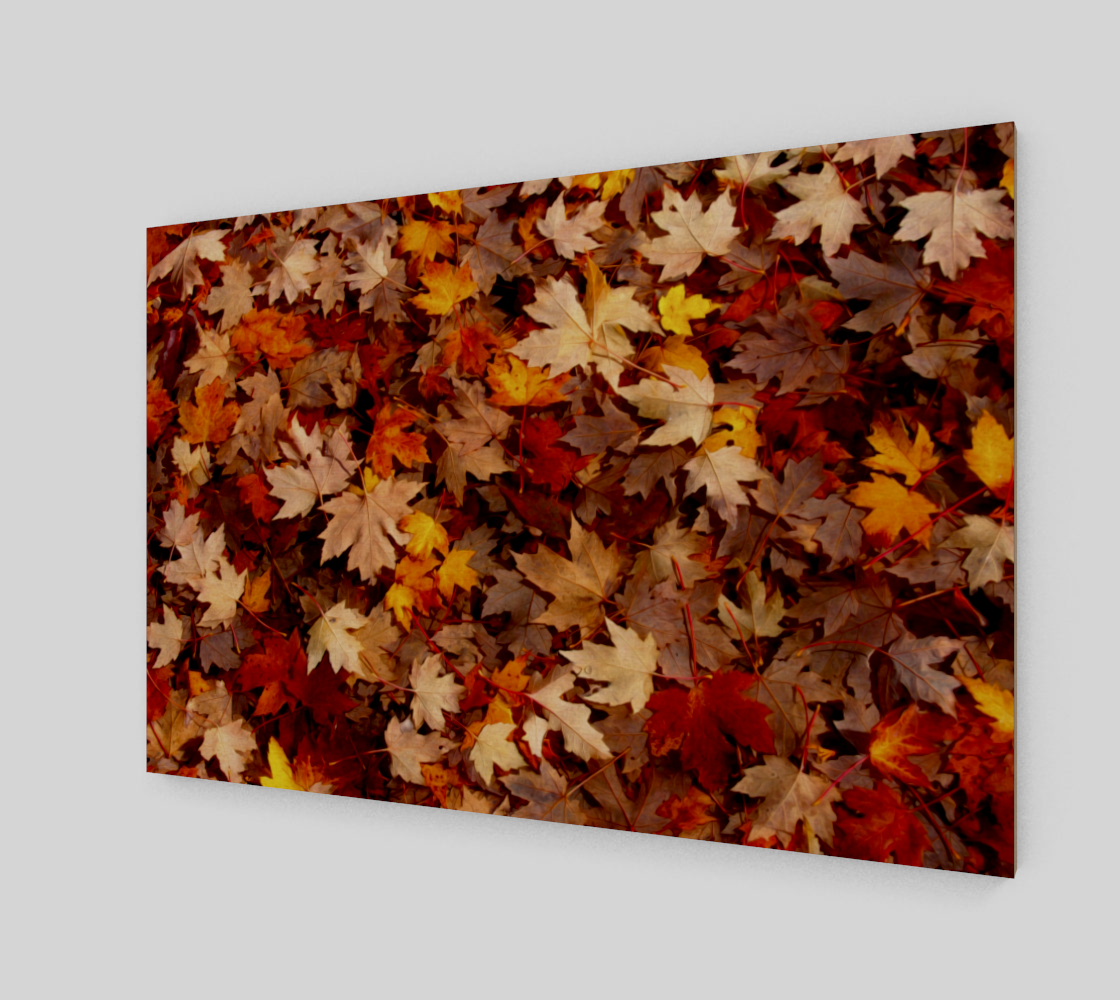 Aperçu de Tapis de feuilles d'érable | Maple Leaf Carpet #1