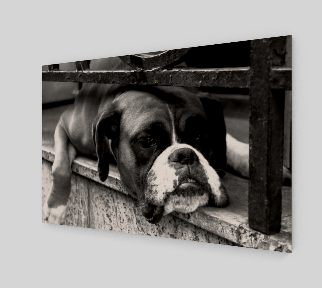 Boxer Dog On Windowsill Wall Art preview #2