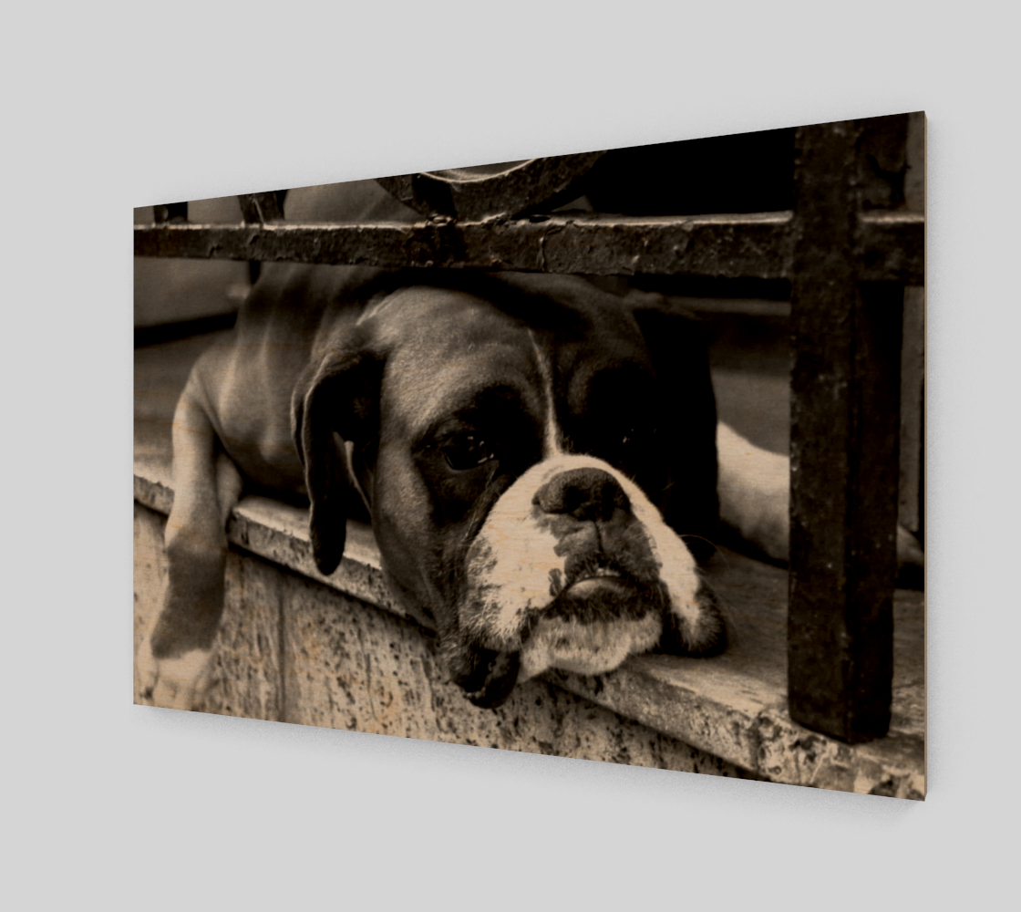 Boxer Dog On Windowsill Wall Art preview #1