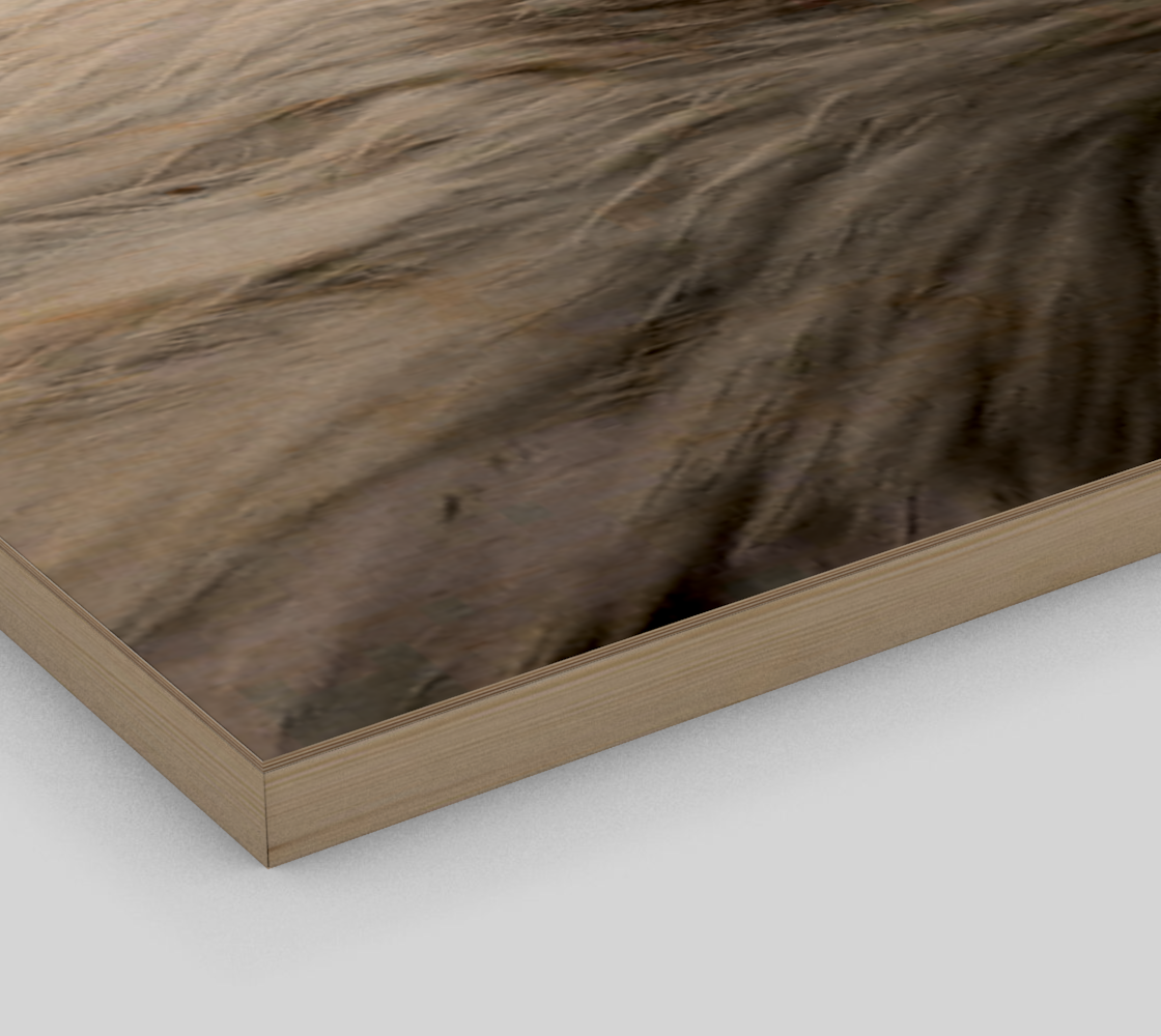 Bald Eagle Wall Art preview #3