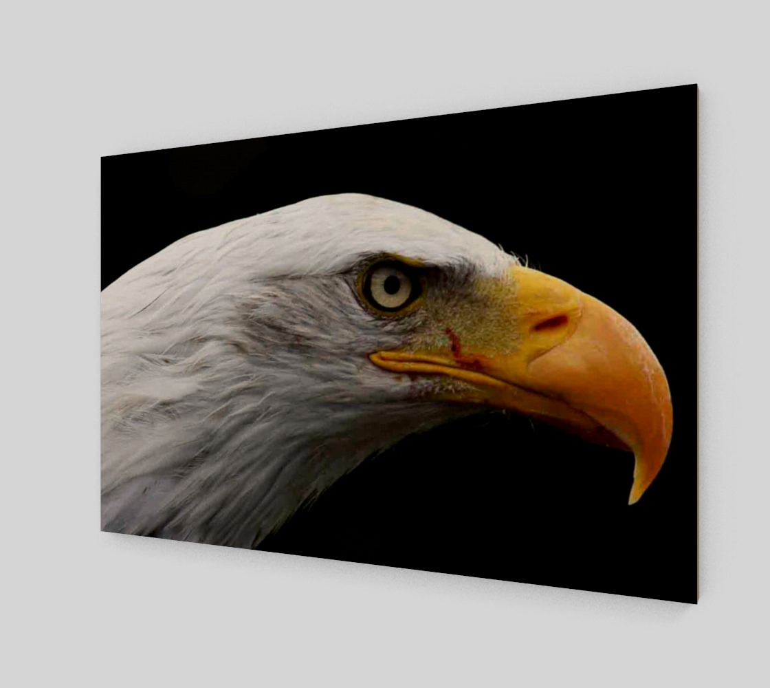 Bald Eagle Wall Art preview #2
