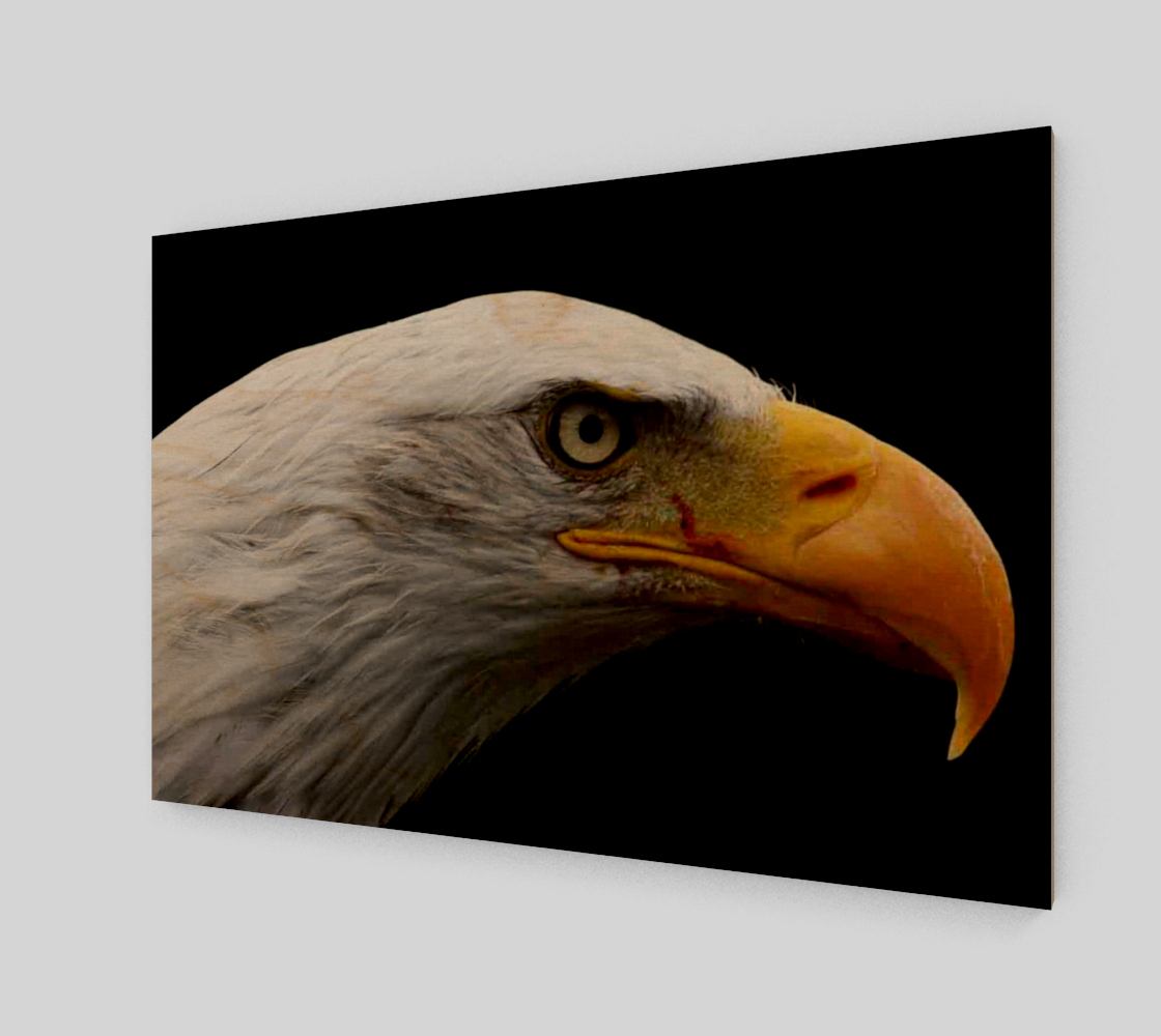 Bald Eagle Wall Art preview #1