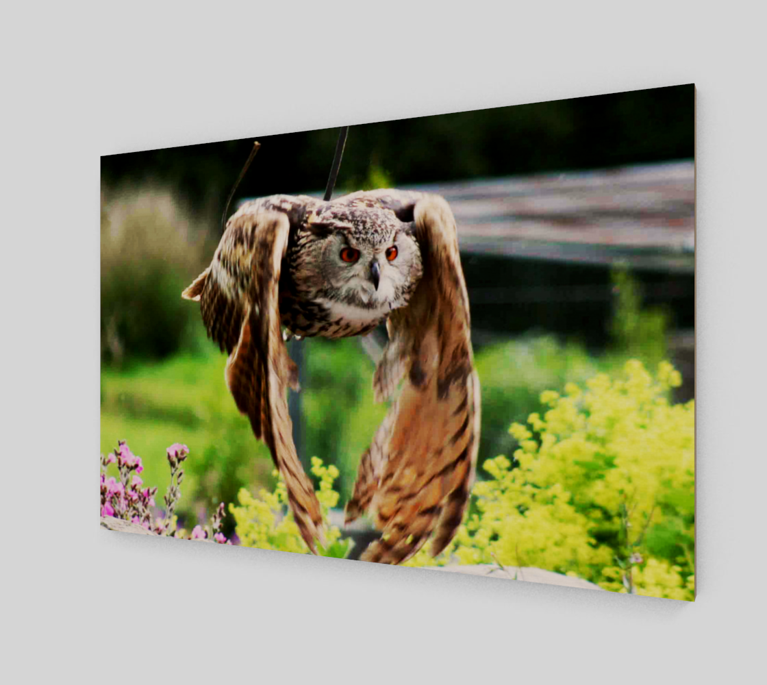 Owl In Flight Wall Art preview #2