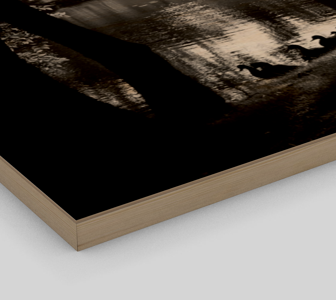 Park Life Wall Art preview #3