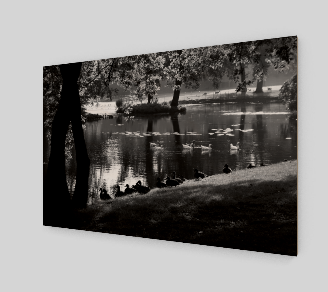 Park Life Wall Art preview #2