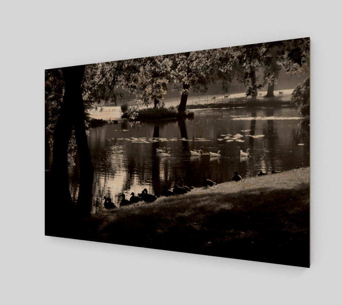 Park Life Wall Art preview #1