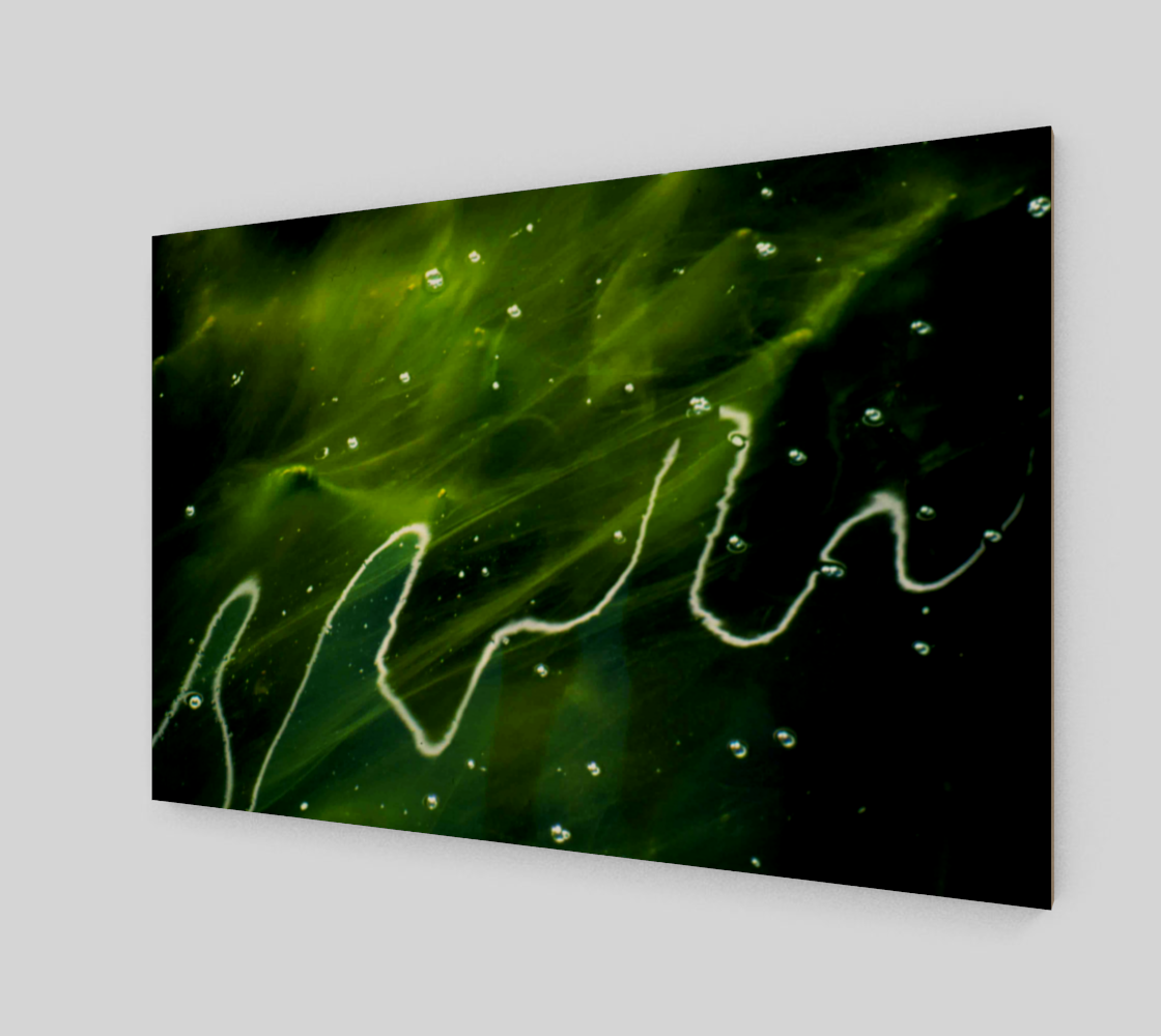 Green Algae and Water Poster Print preview #2