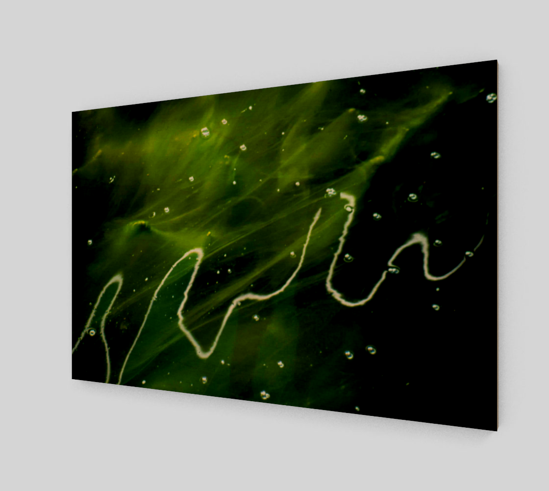 Green Algae and Water Poster Print preview #1