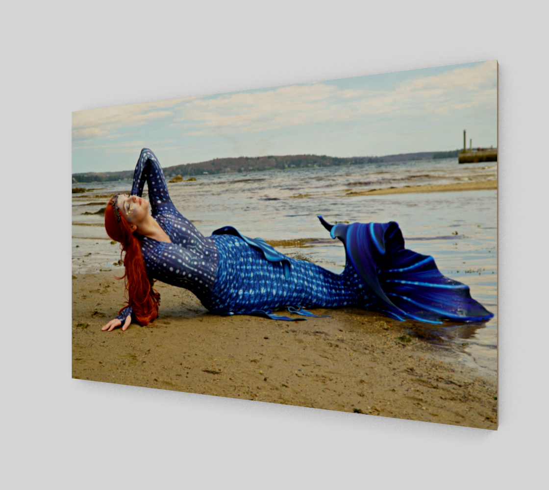 Sunning Mermaid in Blue preview #2