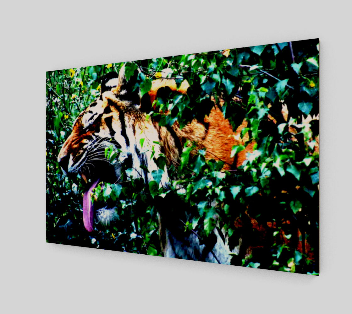 Amur Tiger Acrylic Print preview #2