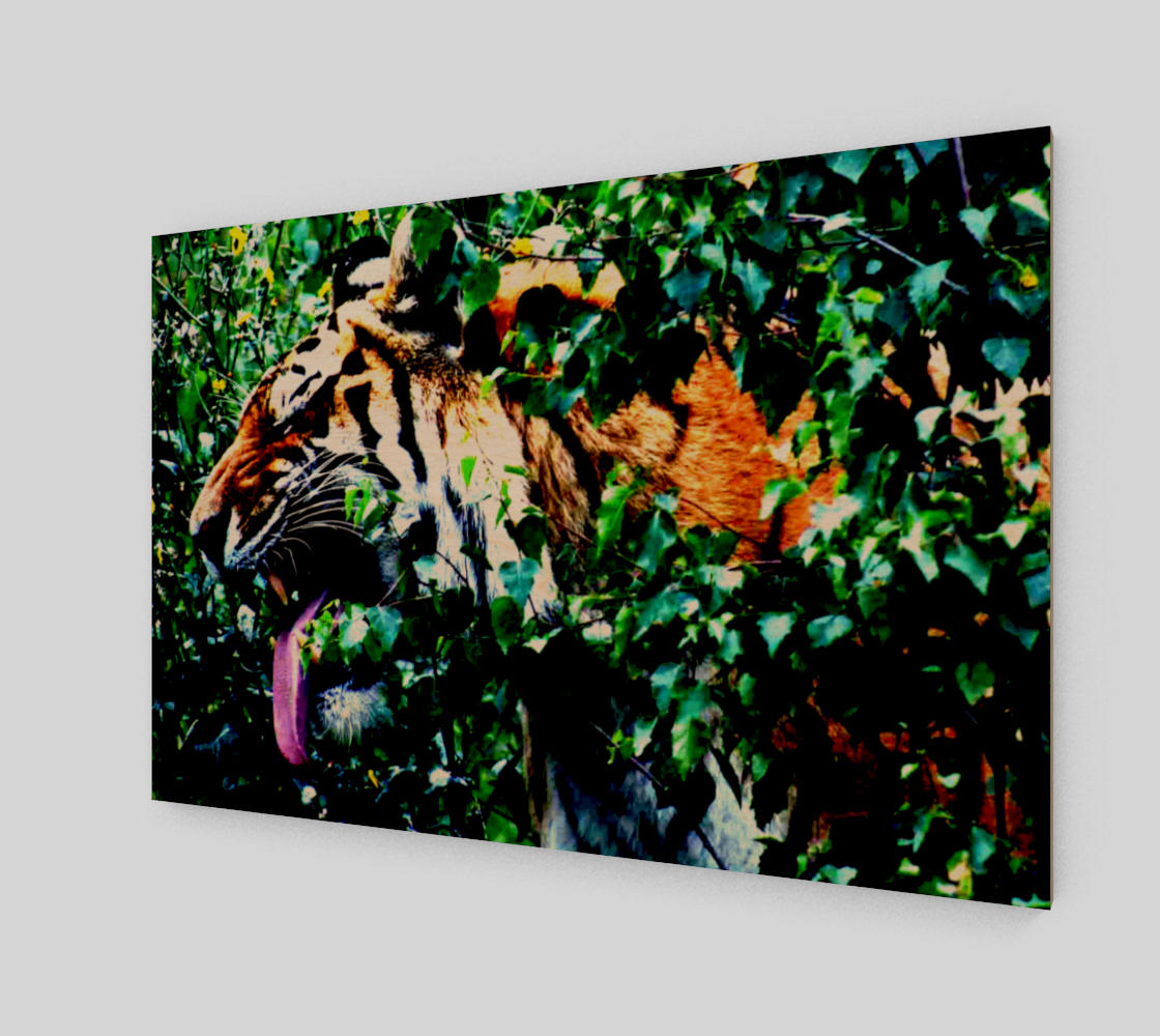 Amur Tiger Wood Print preview #1